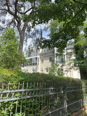 Foto zum Angebot Messel-182-4-Neu