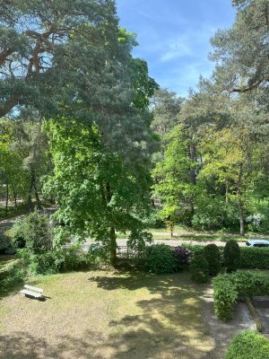 Foto zum Angebot Messel-182-4-Neu